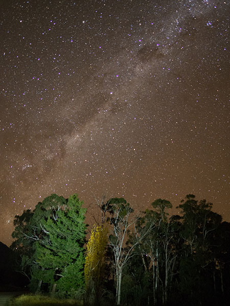 The Milky Way at Bright, Victoria. Photo: Marjie Courtis