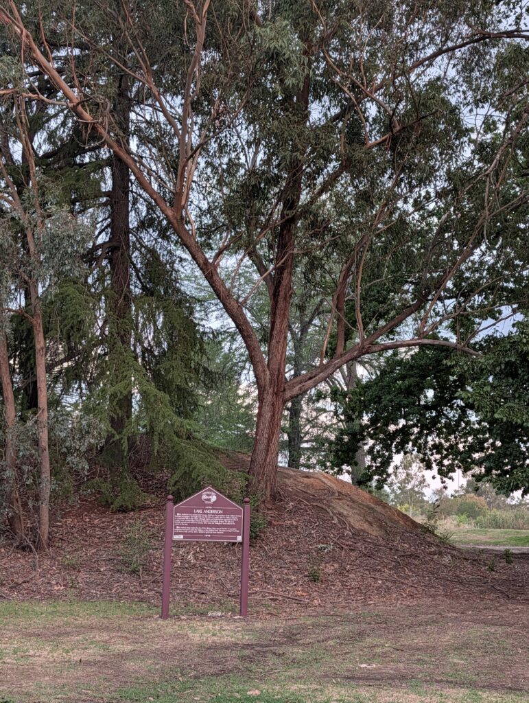 Gold Rush Mullock Heap in Chiltern. Image Marjie Courtis