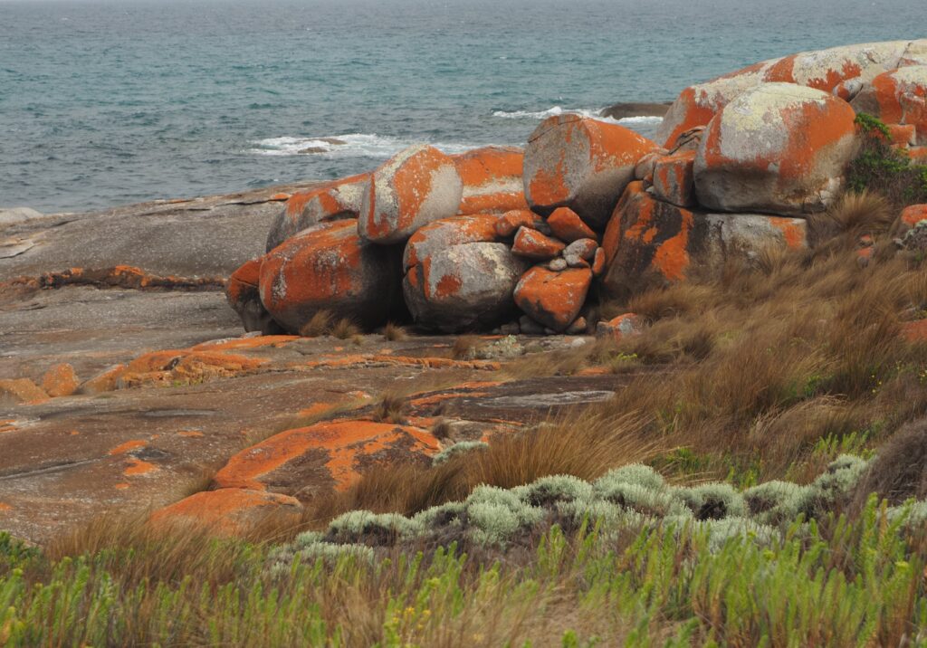 Colours of Flinders Island Photo Marjie Courtis