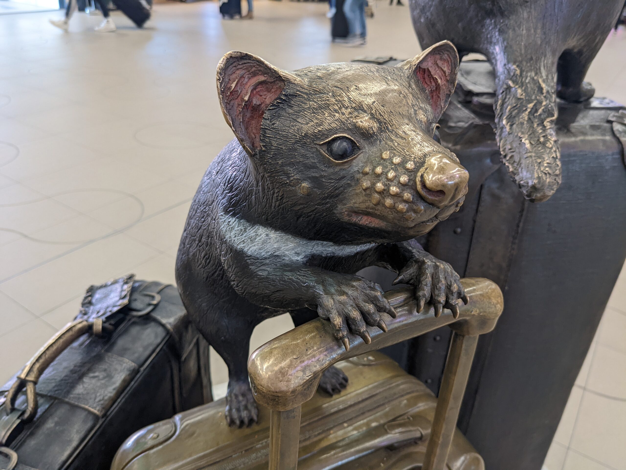 A bronze sculpture of a baby Tasmanian Devil at Hobart Airport