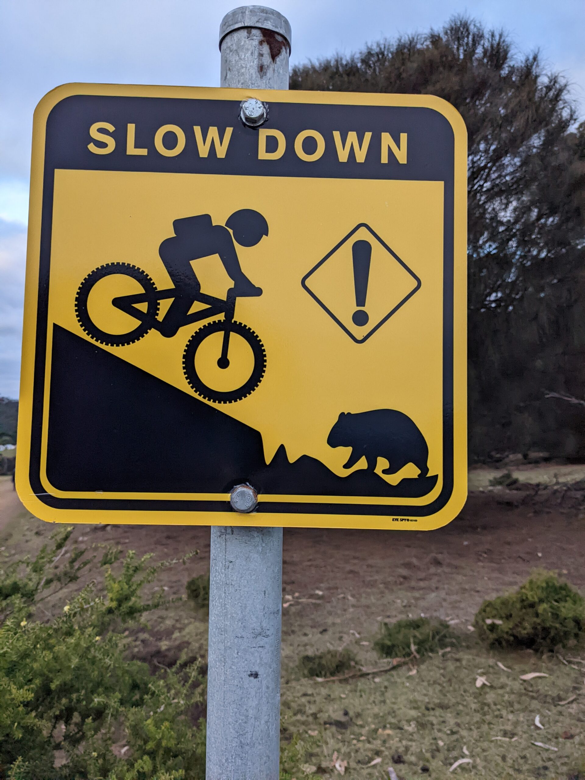 Slow down sign. Downhill cyclist heading towards a wombat.