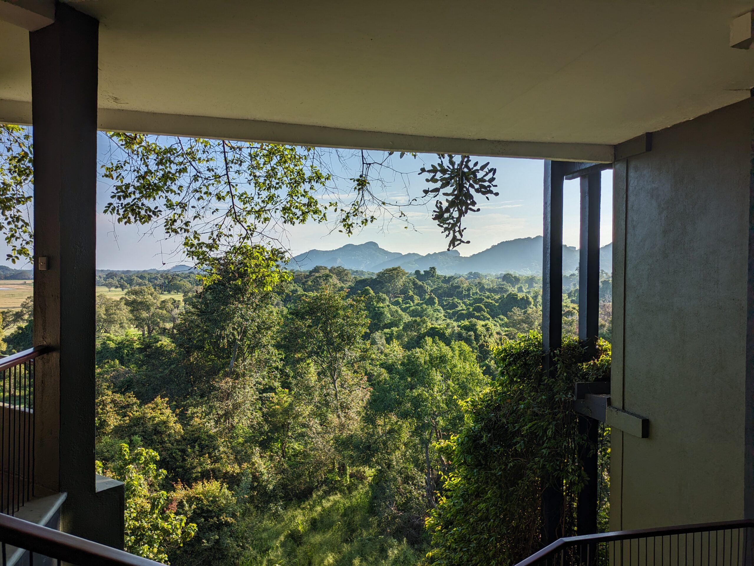 Jungle view from Hotel Kandalama