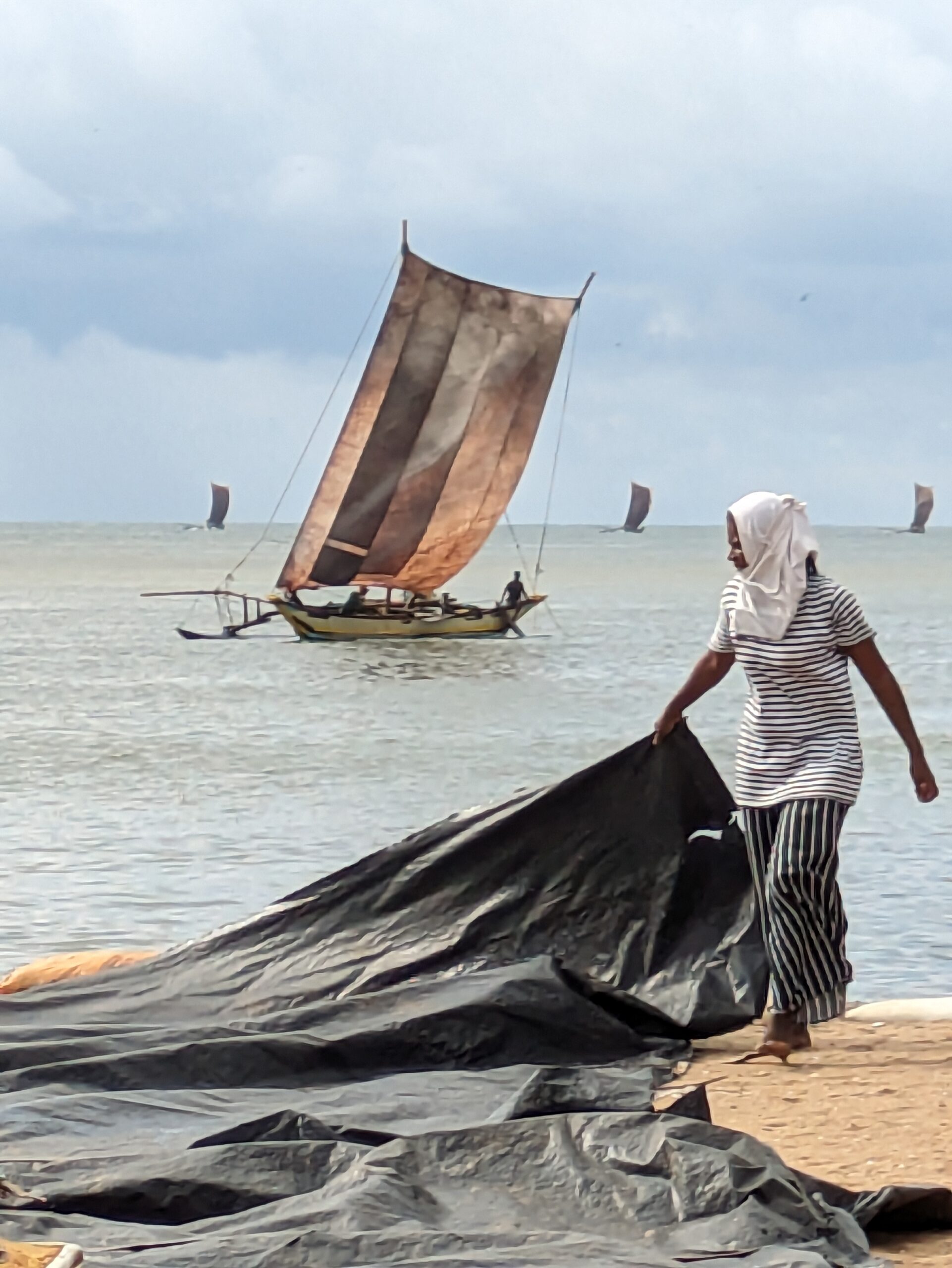 Woman in foreground folding black sheeting. One outrigger in centre. Three outriggers in the distance.