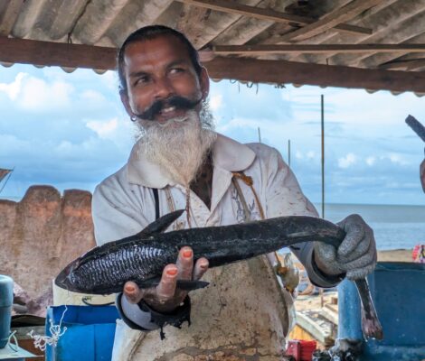Fisherman holding a fish and showing its underbelly, Negombo, Sri Lanka.